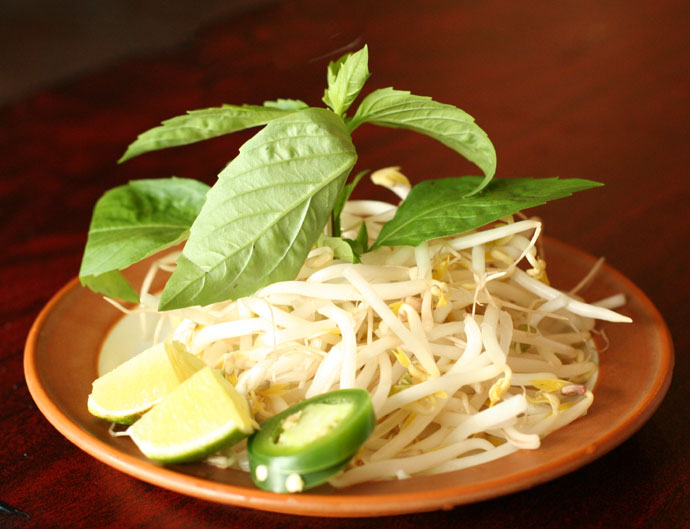 Bean sprouts and garnish