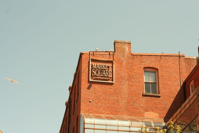 Seagull and Market Square sign